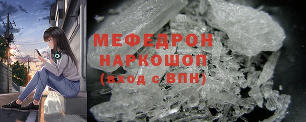 индика Абаза