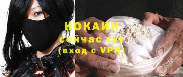 молекула духа Алексин