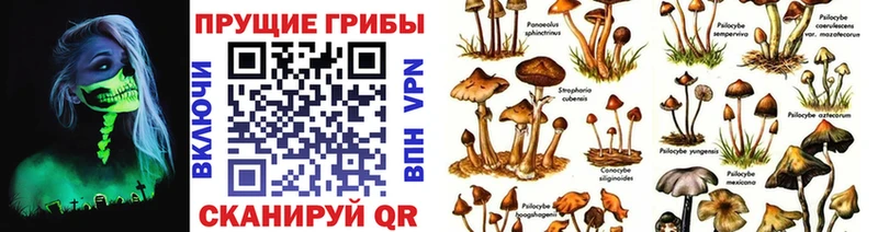 Галлюциногенные грибы мухоморы  Мамоново 
